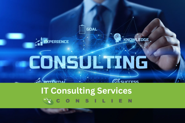 imgi_229_aDiJ6idWJ-7kSsZg_ITConsultingServicesHowtoGetExpertITStrategyforBusinessGrowth